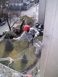 anti-pigeons et oiseaux