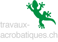 travaux acrobatiques